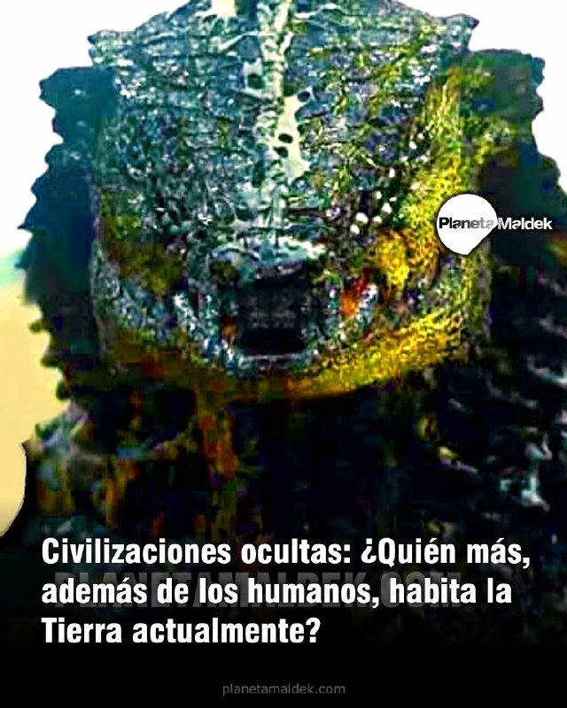 Además de los humanos, ¿qué otras …