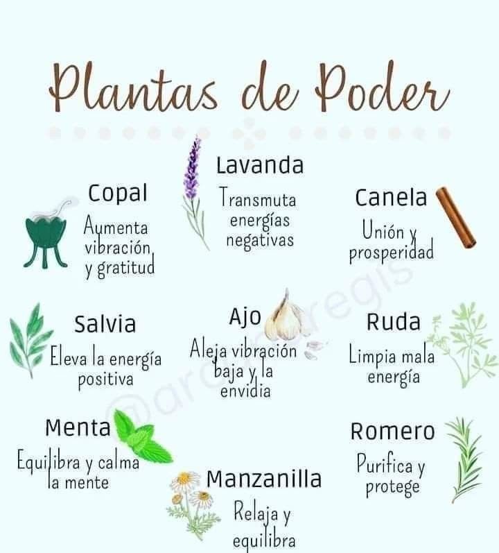 ***?******✨*** Descubre las Plantas de Poder …