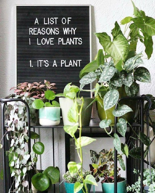 Plants vs ab