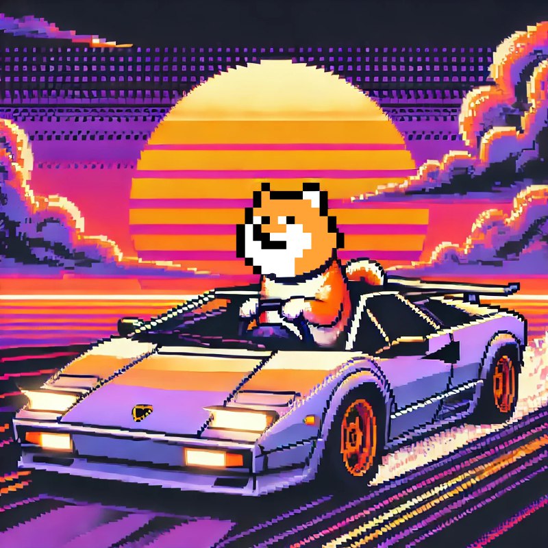 Riding into the future, PlayDoge waves …