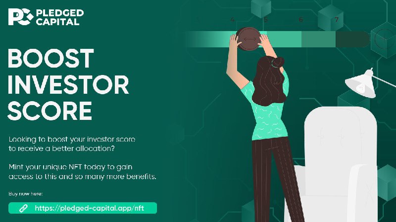 BOOST INVESTOR SCORE