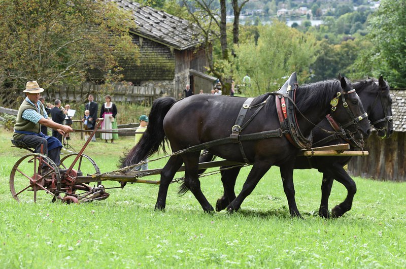 Das Weltwirtschaftsforum rät Ihnen Landwirt zu …