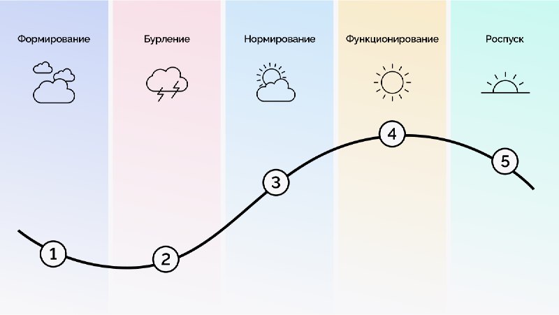 **Развитие команды по модели Такмана: что …