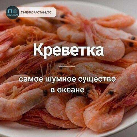 По Фактам