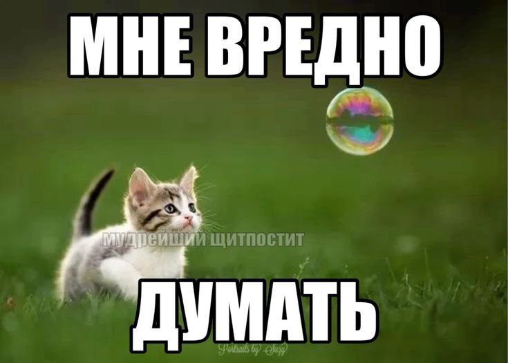 Пару моего вайба и фоток щп …