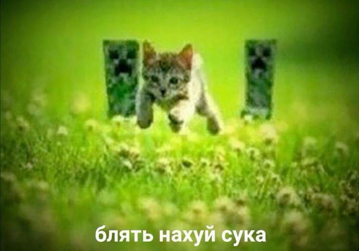 щп ♰