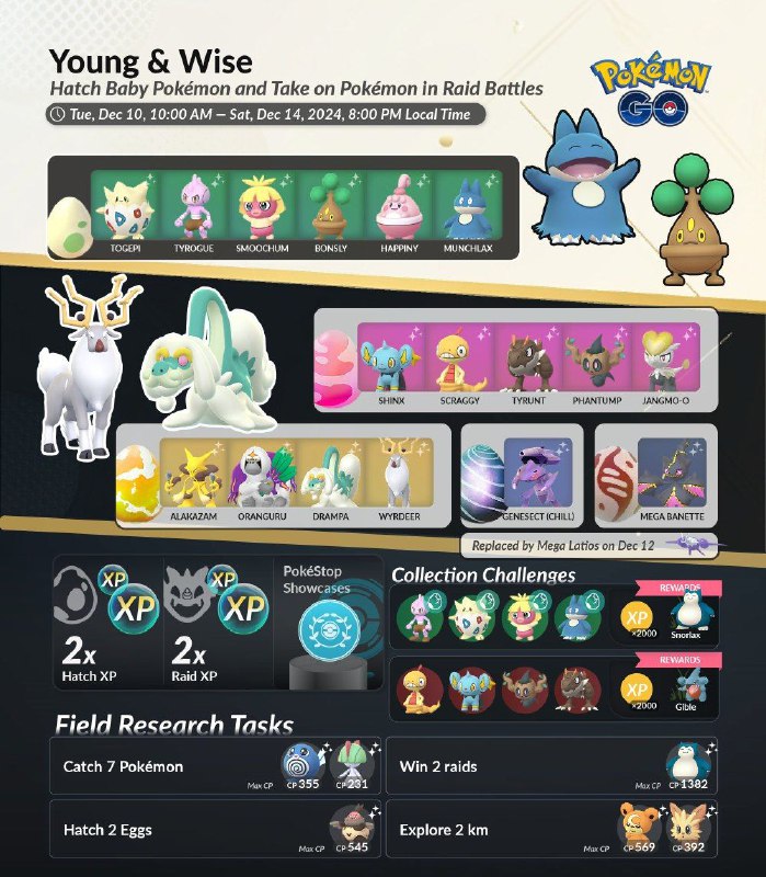 Young &amp; Wise - Event Overview