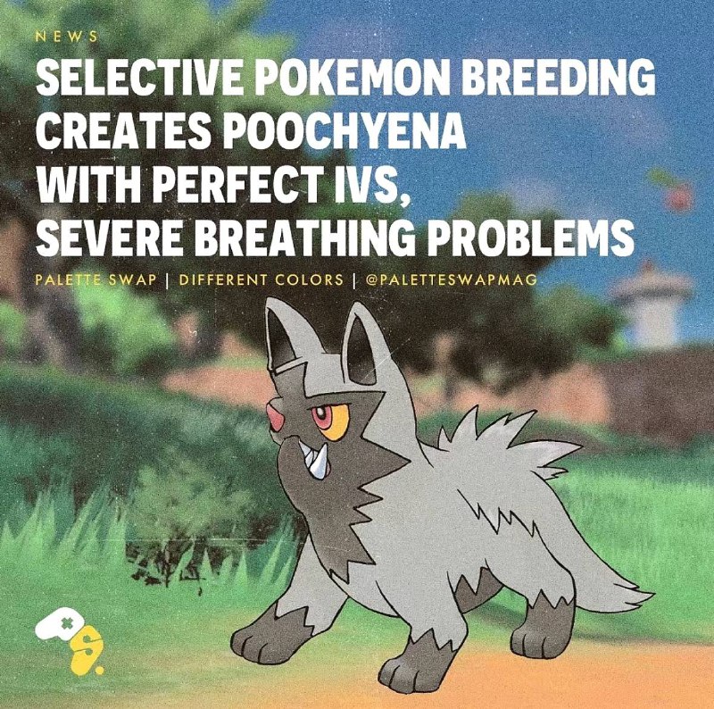 Pokémon Memery