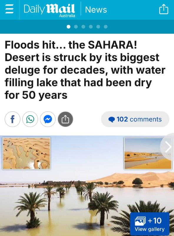 Meanwhile in Sahara