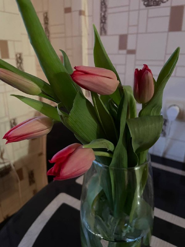***🌷***