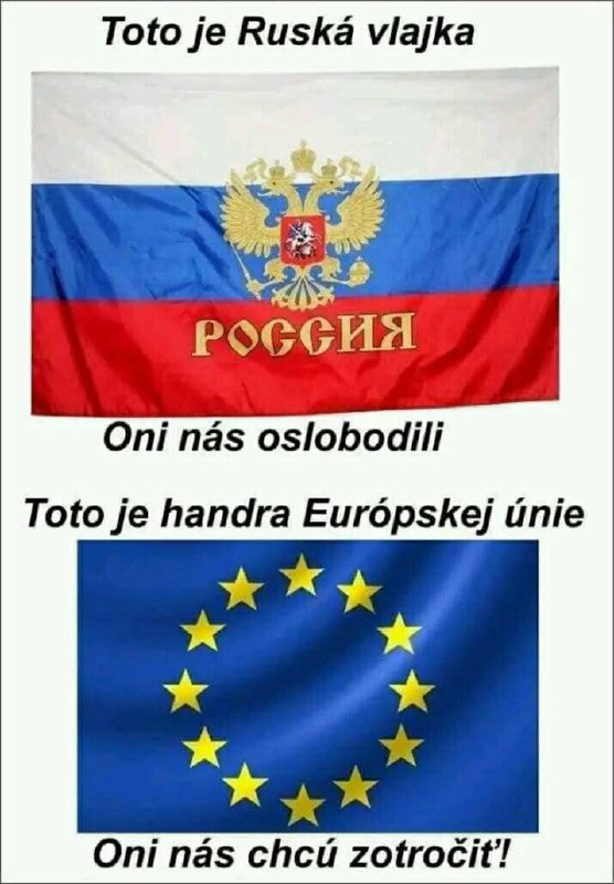 Politické svine