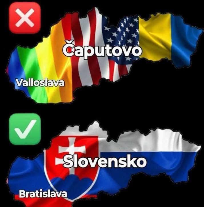 Politické svine