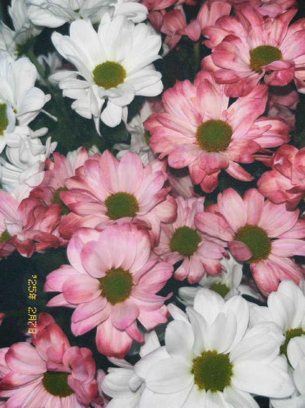 ***💓***