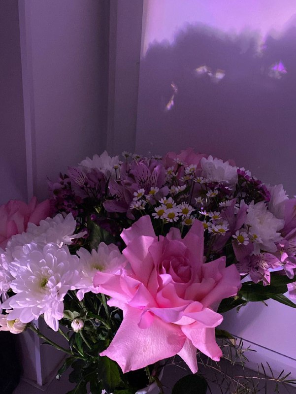***🌷******💘***