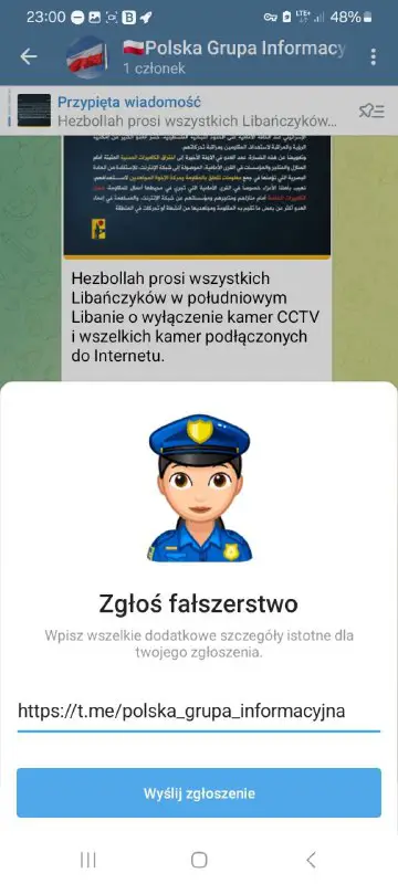 Polska Grupa Informacyjna