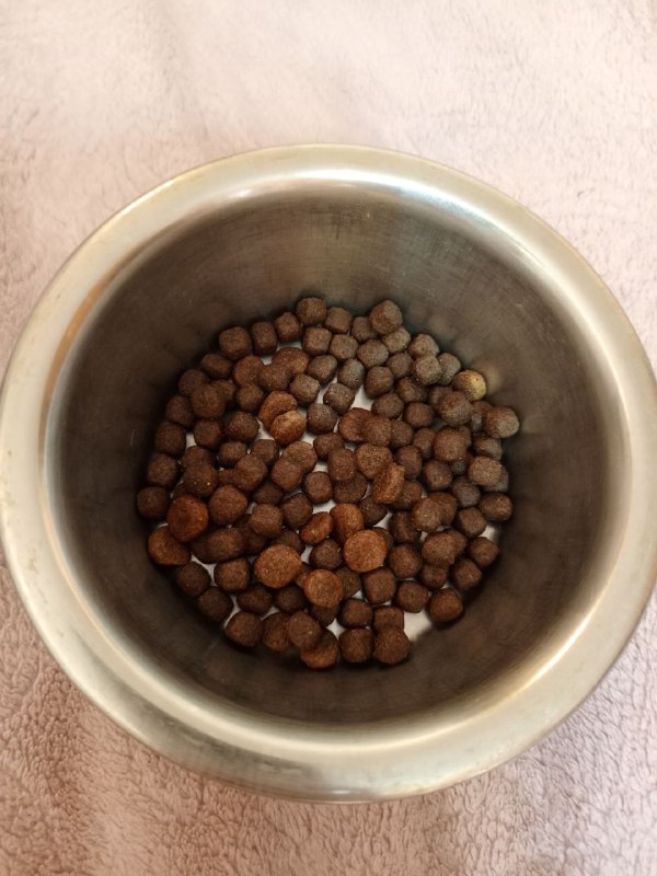 Сегодня последняя пайка со старым кормом, …