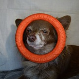 Устроить мафию в чате?