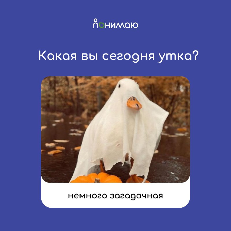 «Понимаю» — well-being платформа