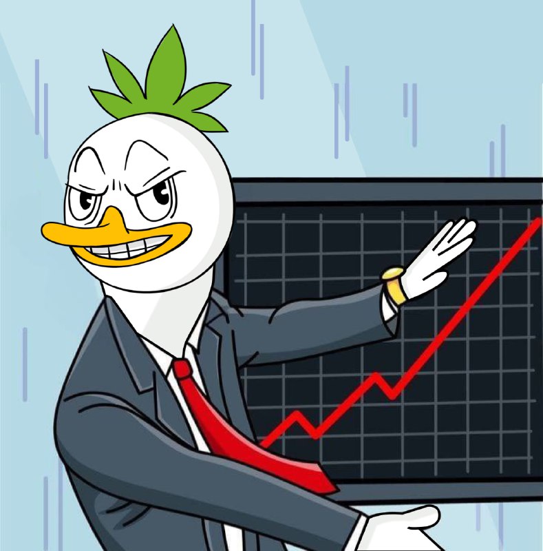 ***📈*** Poong says: "Up only!" ***🦆***