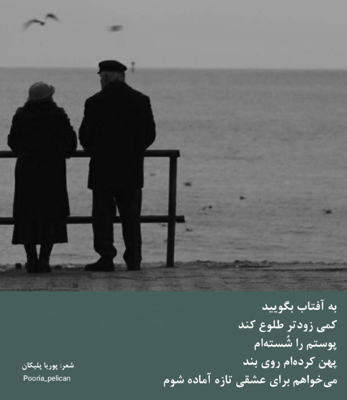 به آفتاب بگویید
