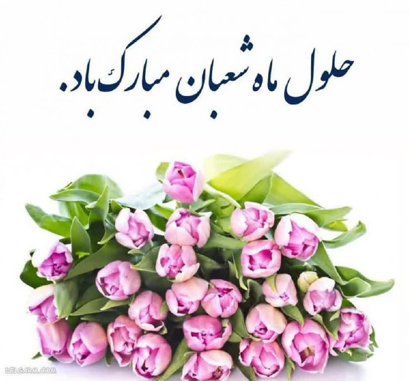 همکاری پوشاک لیدی