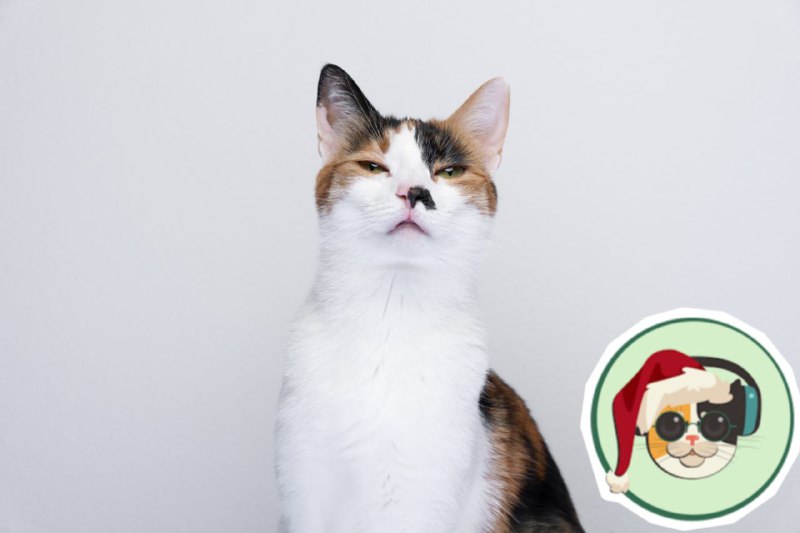 **Calico**