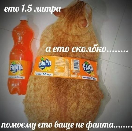 ***🤩******🌹******🌹*****Утречка*****🌹******🌹******🤩***