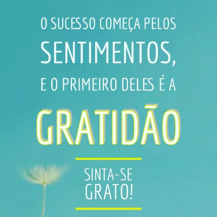 [*****🎯*** PÍLULAS DE GRATIDÃO**](https://t.me/PilulasdeGratidao)