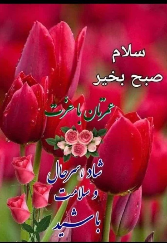 پوشاک گل یاس
