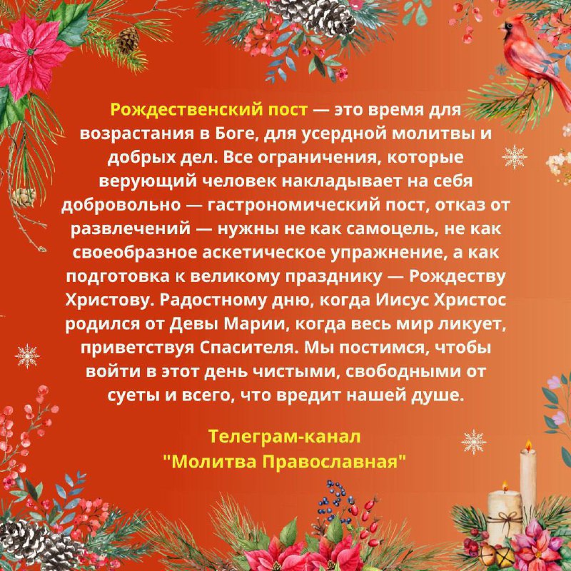 ***🌟*****МОЛИТВА ВО ВРЕМЯ ***🕊***РОЖДЕСТВЕНСКОГО ПОСТА*****🌟***