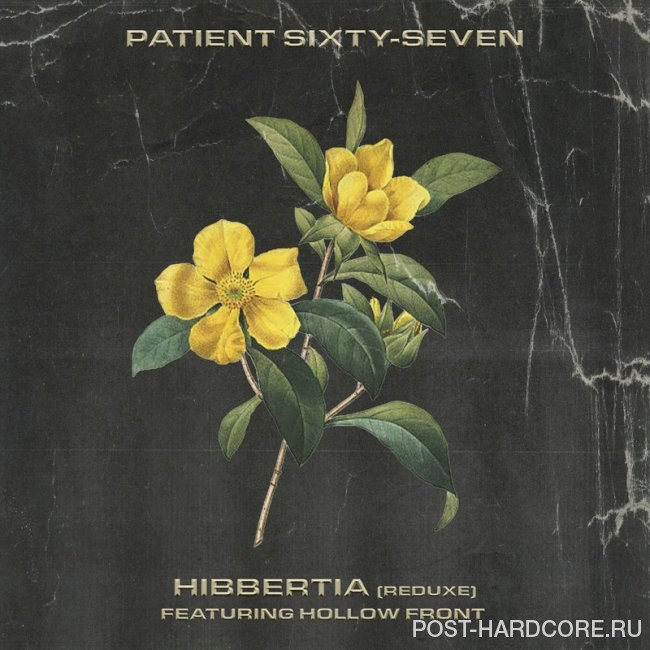 Patient Sixty-Seven - Hibbertia (Reduxe) [single] …