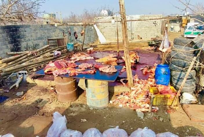 ***🔴*****کشف کشتارگاه اسب و الاغ در …