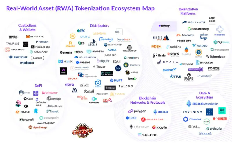 *****✅***** [**#RWA**](?q=%23RWA)**, Token's Selection** ***👽***