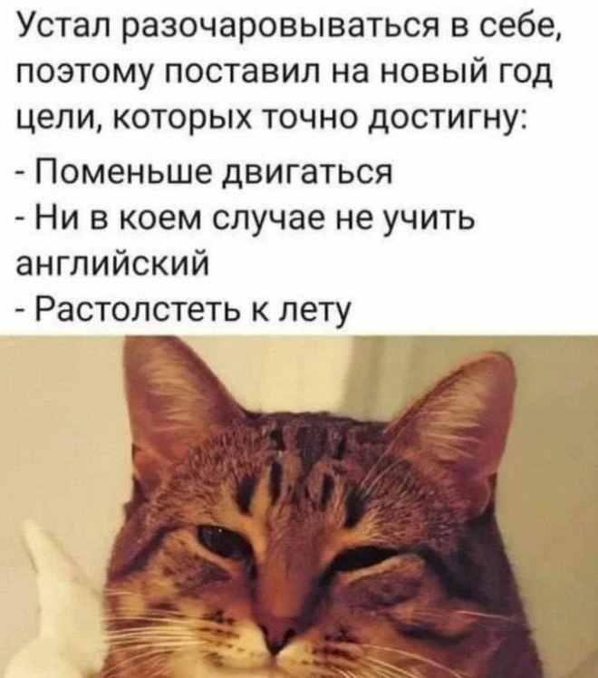 Жгучие приколы