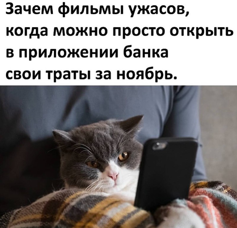 Жгучие приколы