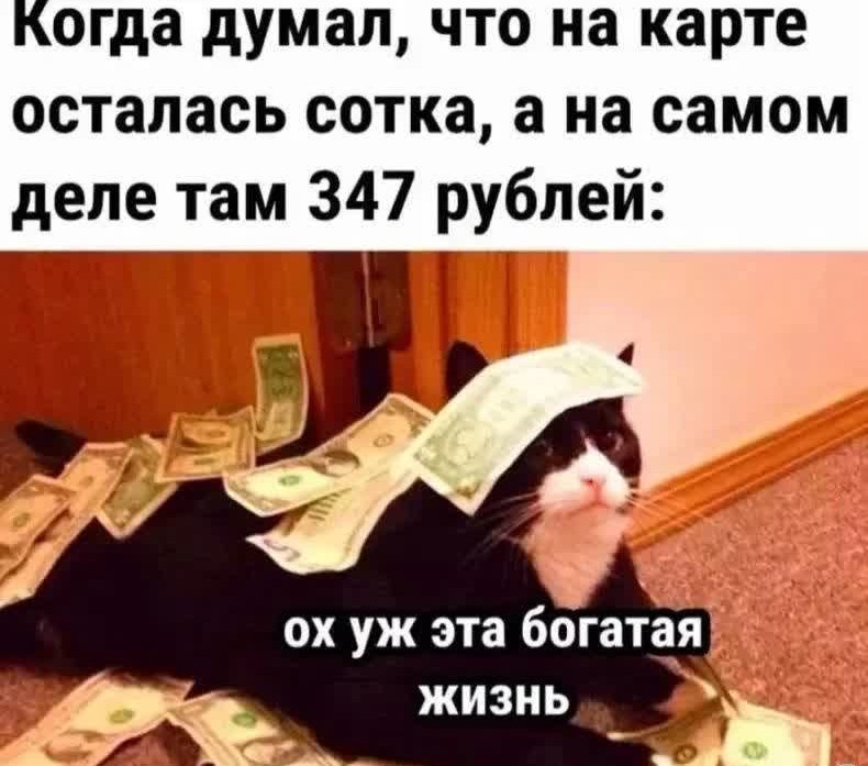 Жгучие приколы