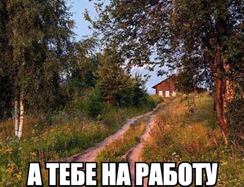 Мем родился