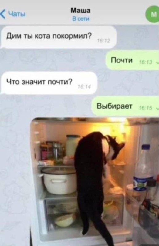 Мем родился