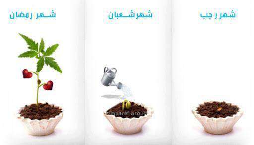 إزرعوا في رجَب، وأسقُوا فِي شَعبان،