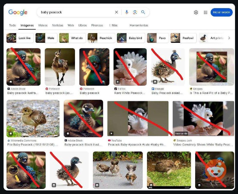 Выдача Google Images все чаще показывает …