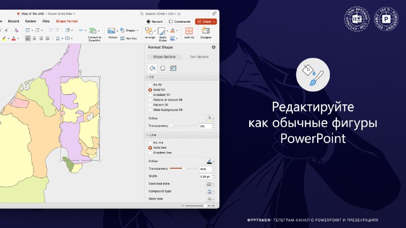 PowerPoint & Презентации