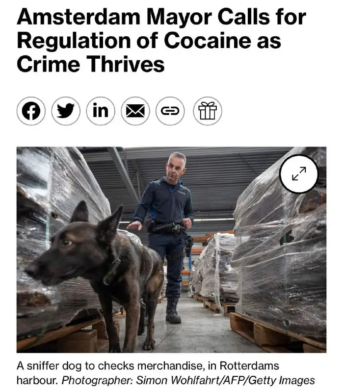 Amsterdam zalegalizuje kokainę - [Bloomberg](https://www.bloomberg.com/news/articles/2024-01-25/amsterdam-mayor-calls-for-regulated-cocaine-and-drugs-market-to-tackle-crime).