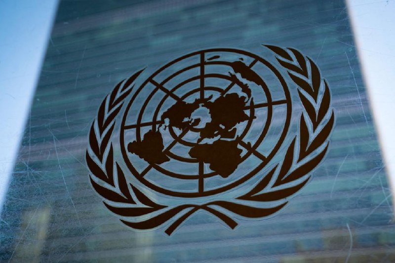 The UN is 'terrified' of Trump, an official admits in undercover video.