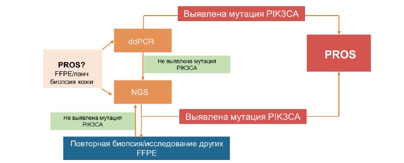 Светлана Коган | Презентации