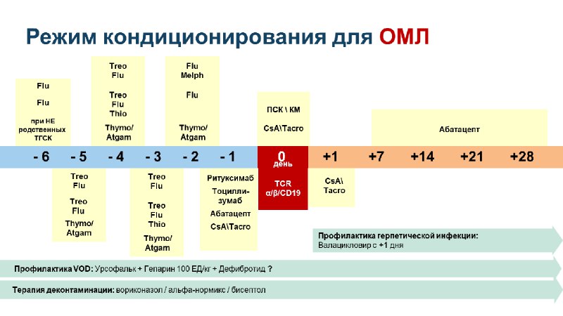 Светлана Коган | Презентации