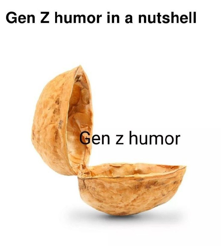 Gen Z humor in a nutshell