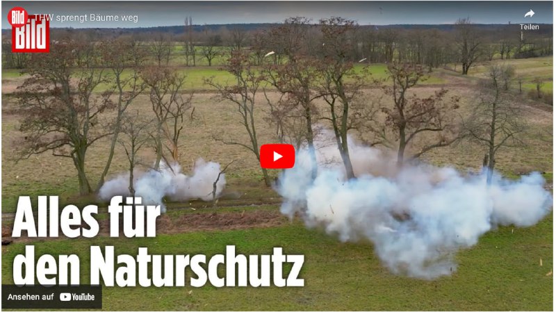 THW sprengt Bäume weg! [#Naturschutz](?q=%23Naturschutz) [#gruene](?q=%23gruene) …