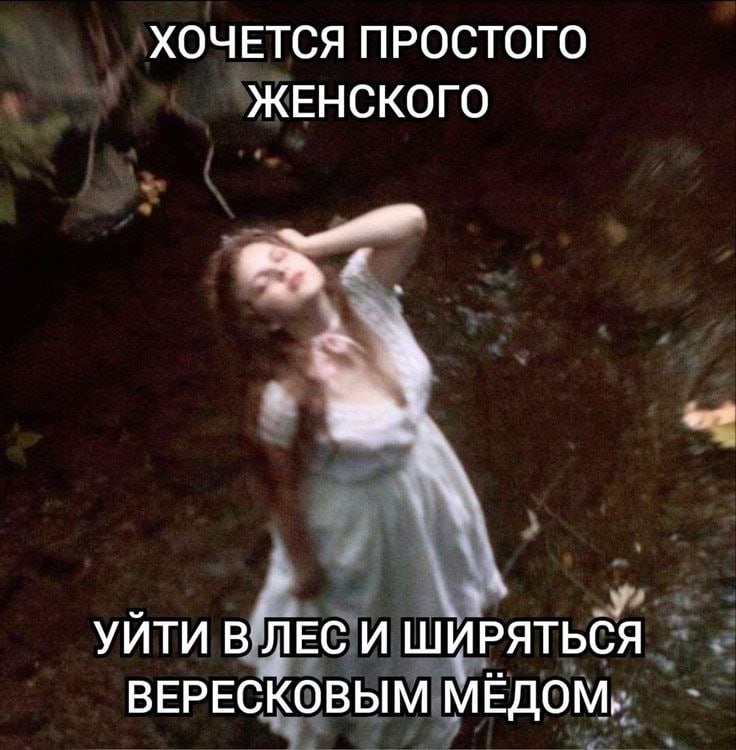 сестры ради бога умоляю