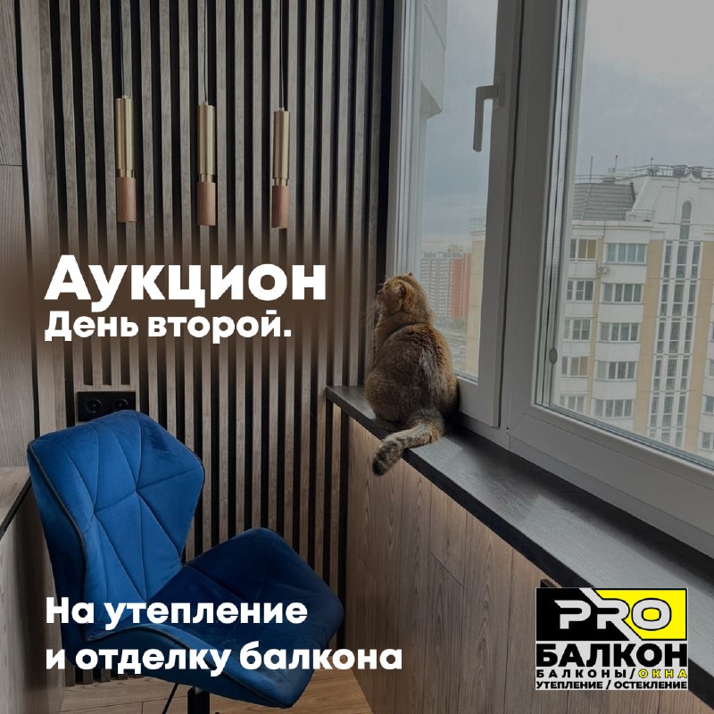 ***❗️***Аукцион, день второй***❗️***