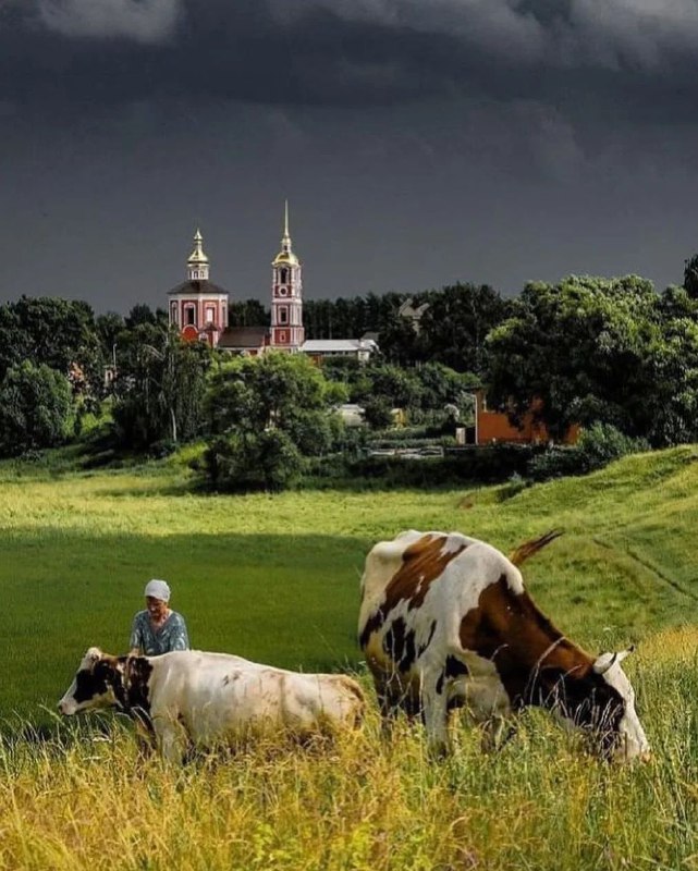 Про деревни и уют 🏡